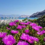 Starcevic Filipovic * Baška