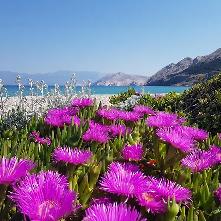 Starcevic Filipovic * Baska (Krk)